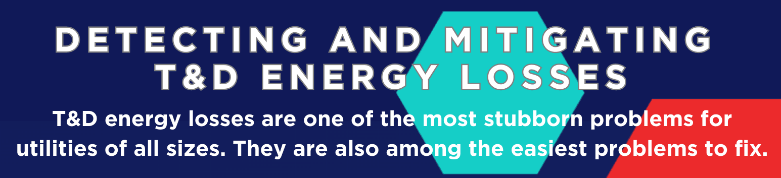 Detecting And Mitigating T&D Energy Losses One-Pager