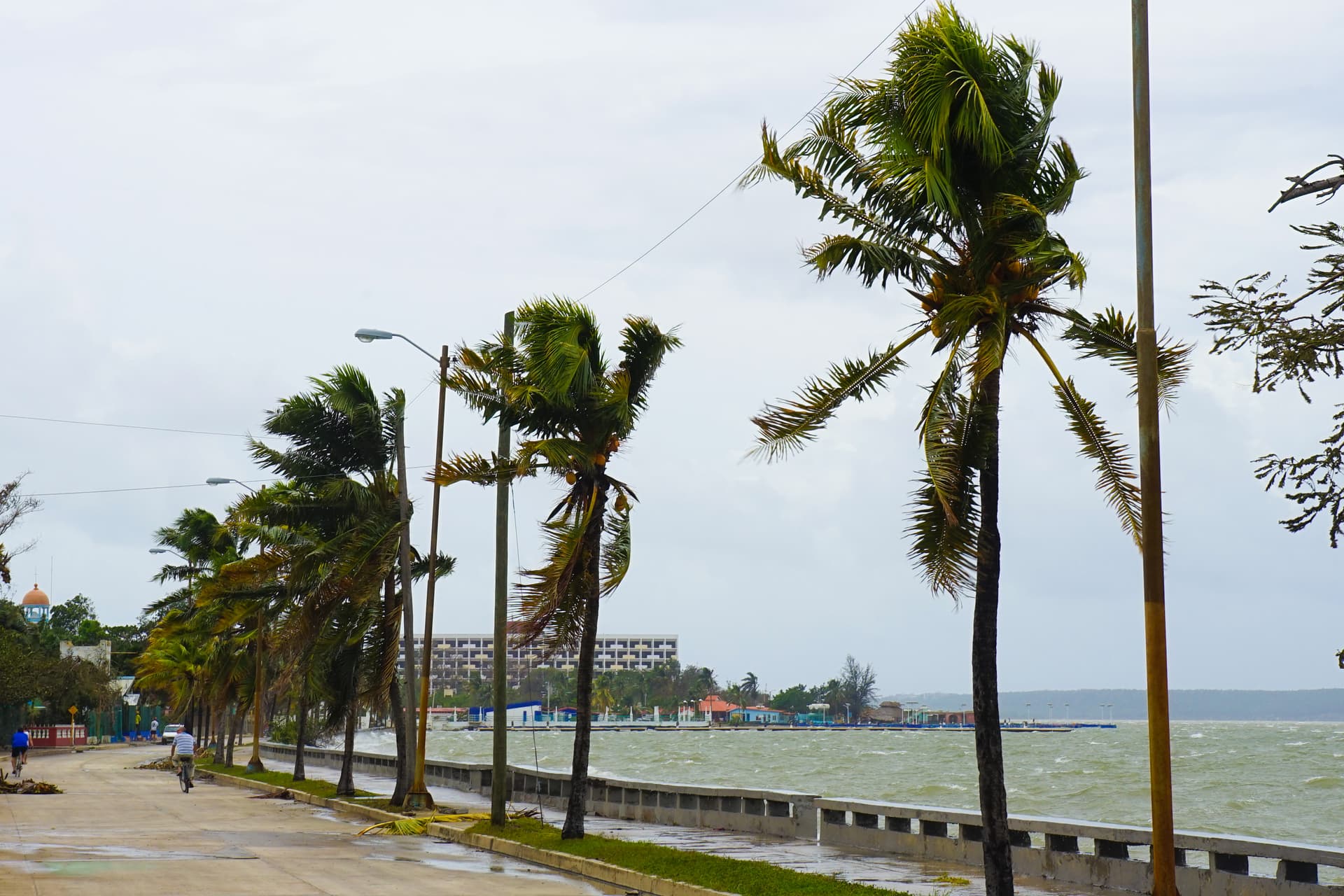 Tested By Hurricanes: Are Our Power Grids Adaptive Enough To Perform In This Extreme-Weather Era? 